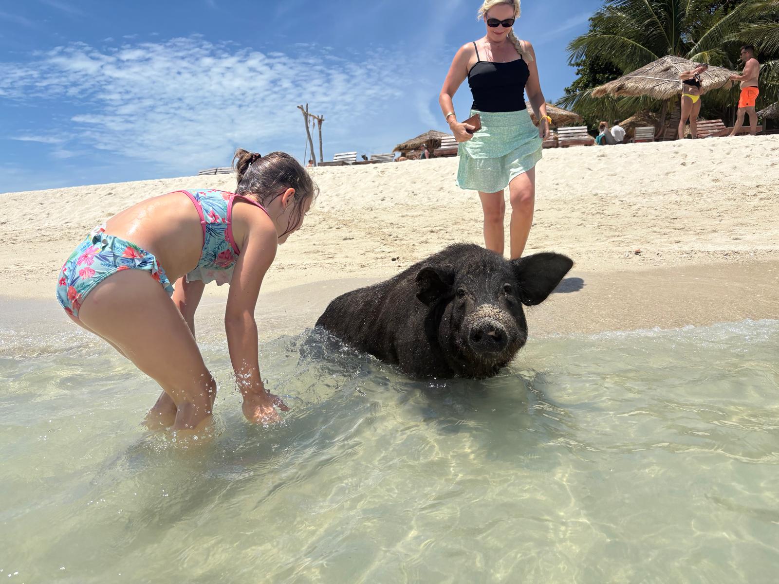 Koh Madsum - Pig Island